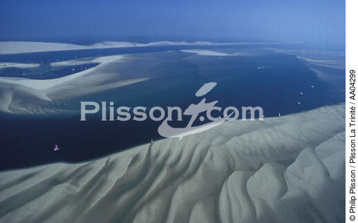 Banc d'Arguin. - © Philip Plisson / Plisson La Trinité / AA04299 - Nos reportages photos - Dune
