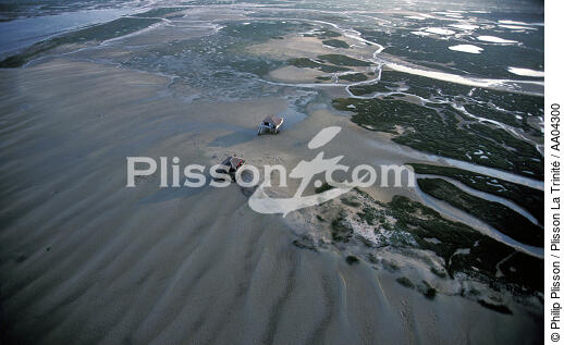 Ile aux oiseaux. - © Philip Plisson / Plisson La Trinité / AA04300 - Nos reportages photos - Marée basse
