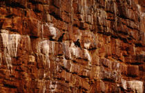 Cormorans sur un rocher. © Philip Plisson / Plisson La Trinité / AA04333 - Nos reportages photos - Rocher