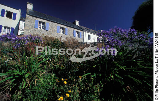 Maisons à Ouessant. - © Philip Plisson / Plisson La Trinité / AA04395 - Photo Galleries - Flower
