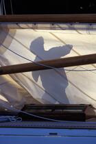 Ombre d'un équipier dans la voilure de Lady Maud. © Philip Plisson / Plisson La Trinité / AA04403 - Photo Galleries - Manoeuvre