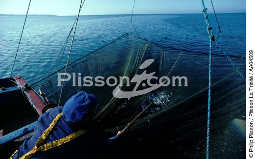 Pierre Le Rouzic relevant son carrelet. - © Philip Plisson / Plisson La Trinité / AA04509 - Photo Galleries - Fisherman