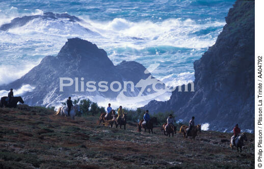 Randonnée équestre à Belle-Ile en mer. - © Philip Plisson / Plisson La Trinité / AA04792 - Photo Galleries - Horse