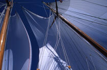 Mature du Shenandoah. © Philip Plisson / Plisson La Trinité / AA04921 - Nos reportages photos - Yachting