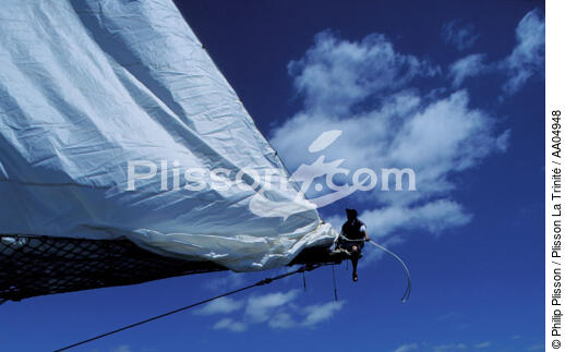 Equipier sur Shenandoah - © Philip Plisson / Plisson La Trinité / AA04948 - Photo Galleries - Three-masted schooner
