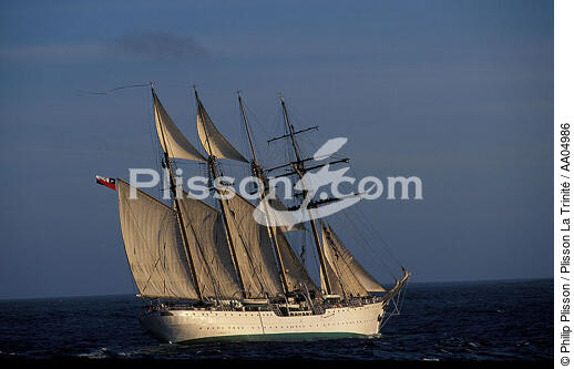 L'Esmeralda. - © Philip Plisson / Plisson La Trinité / AA04986 - Nos reportages photos - Quatre-mâts goélette