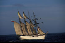 L'Esmeralda. © Philip Plisson / Plisson La Trinité / AA04986 - Nos reportages photos - Les Grands voiliers
