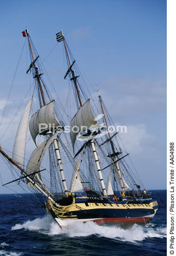 HMS Rose - © Philip Plisson / Plisson La Trinité / AA04988 - Photo Galleries - Three-masted frigate