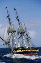 HMS Rose © Philip Plisson / Plisson La Trinité / AA04988 - Photo Galleries - Tall ship / Sailing ship