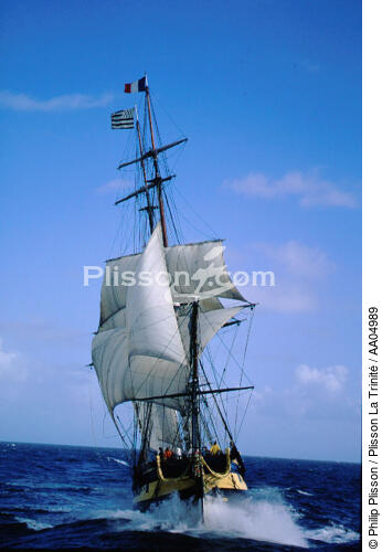 Le navire école HMS Rose. - © Philip Plisson / Plisson La Trinité / AA04989 - Nos reportages photos - HMS Rose