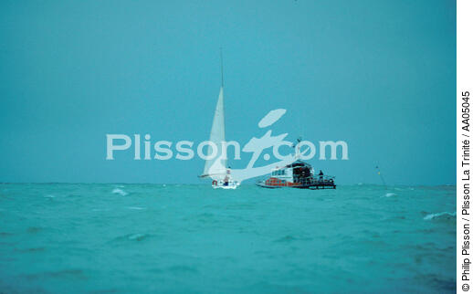 Voilier en difficulté. - © Philip Plisson / Plisson La Trinité / AA05045 - Photo Galleries - Lifesaving at sea