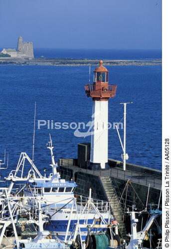 Le port de Saint-Vaast la Hougue. - © Philip Plisson / Plisson La Trinité / AA05128 - Nos reportages photos - Site [50]