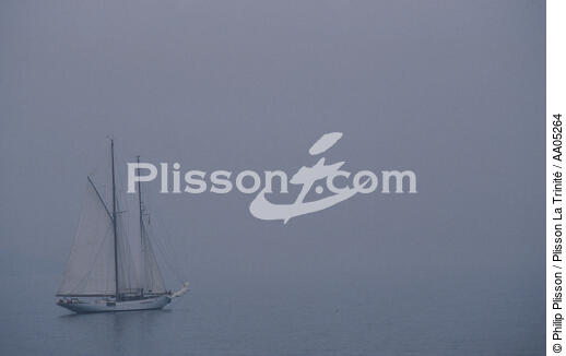 La goélette Orion dans la brume du matin. - © Philip Plisson / Plisson La Trinité / AA05264 - Photo Galleries - Schooner [Yachting]