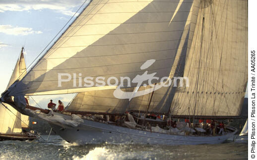 Orion. - © Philip Plisson / Plisson La Trinité / AA05265 - Nos reportages photos - Goélette [Yachting]