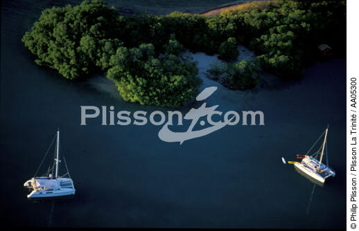 Mouillage de catamarans à la Martinique. - © Philip Plisson / Plisson La Trinité / AA05300 - Photo Galleries - Cruising catamaran