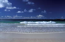 Rouleau déferlant sur la plage de l'anse Trabaud © Philip Plisson / Plisson La Trinité / AA05368 - Photo Galleries - Trahaud Anse