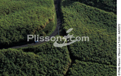 Routes et forêt vus du ciel - © Philip Plisson / Plisson La Trinité / AA05372 - Nos reportages photos - Activité terrestre
