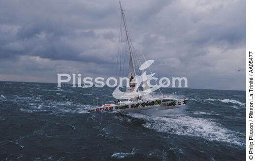 Enza, le catamaran de Peter Blake - © Philip Plisson / Plisson La Trinité / AA05477 - Nos reportages photos - Multicoque de course