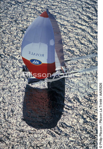 Royale sous spi. - © Philip Plisson / Plisson La Trinité / AA05826 - Nos reportages photos - Catamaran de course