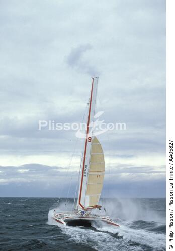 Royale dans le gros temps. - © Philip Plisson / Plisson La Trinité / AA05827 - Photo Galleries - Ocean racing catamaran