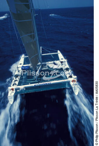 Effet de vitesse sur Jet Service. - © Philip Plisson / Plisson La Trinité / AA05830 - Nos reportages photos - Catamaran de course