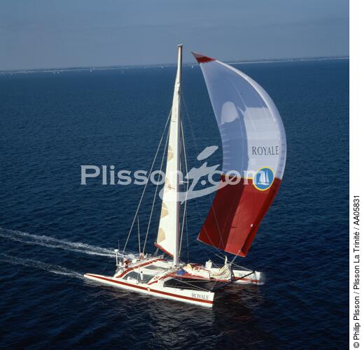 Royale. - © Philip Plisson / Plisson La Trinité / AA05831 - Nos reportages photos - Catamaran de course