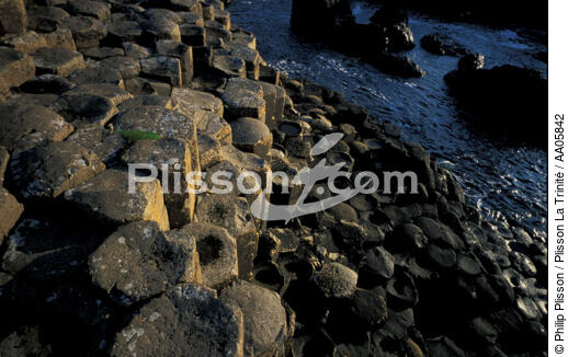 La Chaussée des Géants. - © Philip Plisson / Plisson La Trinité / AA05842 - Photo Galleries - Ireland