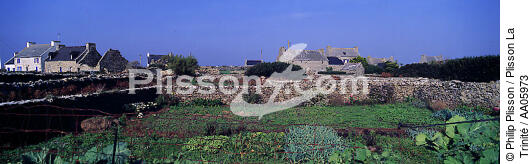 Ouessant, Finistère. - © Philip Plisson / Plisson La Trinité / AA05973 - Photo Galleries - Details