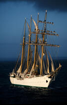 Manoeuvre sur l'Esmeralda. © Philip Plisson / Plisson La Trinité / AA06047 - Photo Galleries - Tall ships