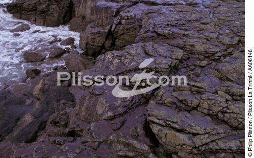 Rochers pollués. - © Philip Plisson / Plisson La Trinité / AA06146 - Nos reportages photos - Rocher