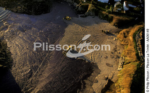 Plage mazoutée entre Batz sur mer et le Pouliguen. - © Philip Plisson / Plisson La Trinité / AA06149 - Nos reportages photos - Pollution