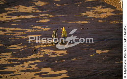 Bénévoles nettoyant la plage. - © Philip Plisson / Plisson La Trinité / AA06150 - Nos reportages photos - Pollution