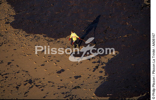 Plage souillée sur la côte atlantique. - © Philip Plisson / Plisson La Trinité / AA06167 - Nos reportages photos - Pollution