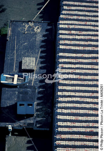 Ponton ostréïcole et parc à huitres - © Philip Plisson / Plisson La Trinité / AA06261 - Nos reportages photos - Ponton ostréicole