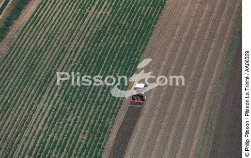 Agriculture dans le Gard. - © Philip Plisson / Plisson La Trinité / AA06329 - Nos reportages photos - Gard