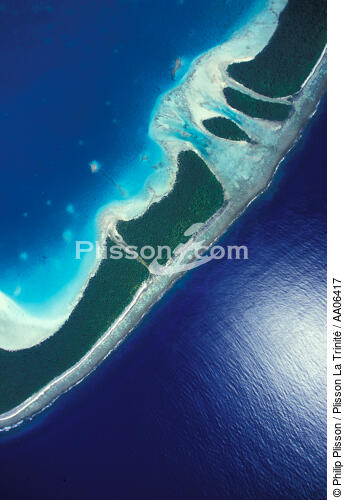 Tetiaora en Polynésie française. - © Philip Plisson / Plisson La Trinité / AA06417 - Photo Galleries - Sea floor