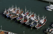 Bareaux de pêche dans le port de St Jean de Luz. © Philip Plisson / Plisson La Trinité / AA06429 - Photo Galleries - Town [64]