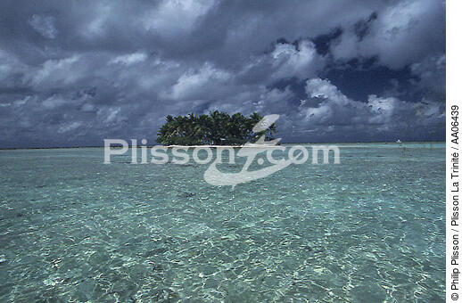 Rangiroa, Polynésie française. - © Philip Plisson / Plisson La Trinité / AA06439 - Photo Galleries - Island [Polynesia]
