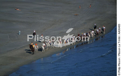 Promenade équestre en bord de mer - © Philip Plisson / Plisson La Trinité / AA06483 - Nos reportages photos - Mammifère