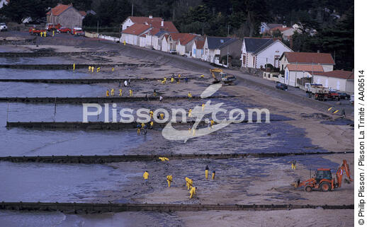 Nettoyage en baie de Bourgneuf. - © Philip Plisson / Plisson La Trinité / AA06514 - Photo Galleries - Site of Interest [44]