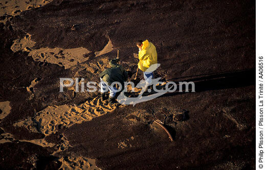 bénévoles nettoyant des plages. - © Philip Plisson / Plisson La Trinité / AA06516 - Nos reportages photos - Pollution