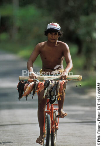 Retour de pêche en Polynésie française. - © Philip Plisson / Plisson La Trinité / AA06551 - Photo Galleries - Polynesia