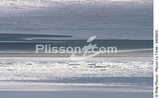 Reflet dans le bassin d'Arcachon. - © Philip Plisson / Plisson La Trinité / AA06602 - Nos reportages photos - Aquitaine