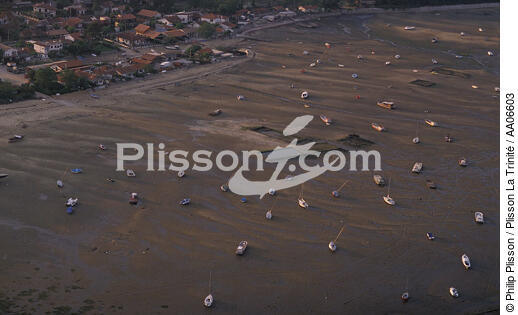 Mouillage dans le bassin d'Arcachon. - © Philip Plisson / Plisson La Trinité / AA06603 - Nos reportages photos - Gironde