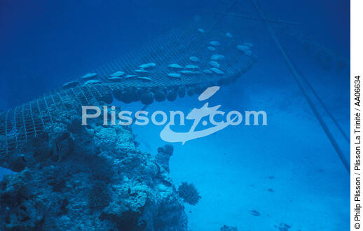 Culture de perles en Polynésie. - © Philip Plisson / Plisson La Trinité / AA06634 - Photo Galleries - Sea floor