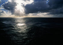 Nappe de pétrole échappée de l'Erika. © Philip Plisson / Plisson La Trinité / AA06642 - Photo Galleries - Pollution