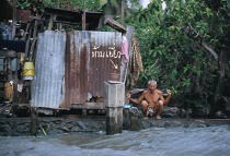 Thaïlande. © Philip Plisson / Plisson La Trinité / AA06726 - Nos reportages photos - Homme