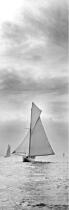 Altaïr à la Nioulargue. © Philip Plisson / Plisson La Trinité / AA06752 - Photo Galleries - Yachting