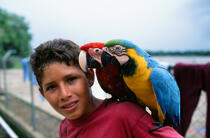 Enfant aux perroquets. © Philip Plisson / Plisson La Trinité / AA06820 - Nos reportages photos - Autre oiseau