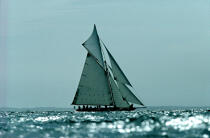 Pen-Duick. © Philip Plisson / Plisson La Trinité / AA06913 - Photo Galleries - Yachting